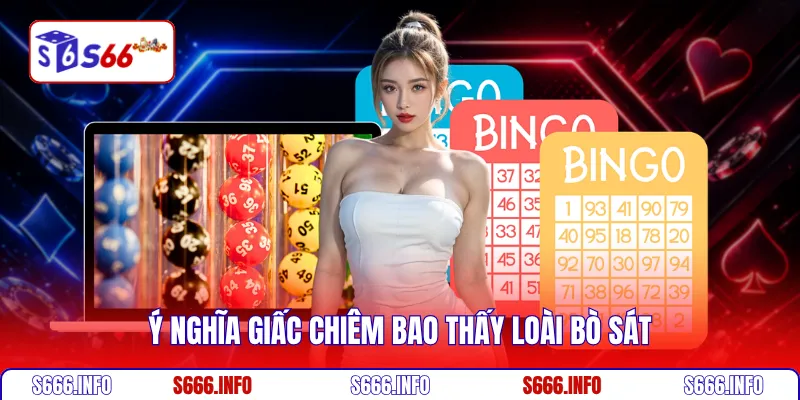Ý nghĩa giấc chiêm bao thấy loài bò sát